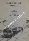 Book cover of What Happened to Steam by HANDS, Peter